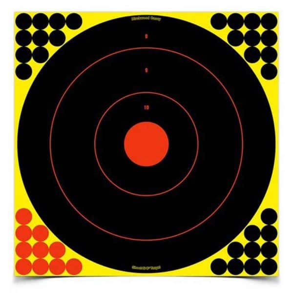 BIRCHWOOD CASEY SHOOT-N-C ROUND 17.25"