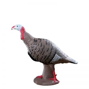 RINEHART-TOM TURKEY
