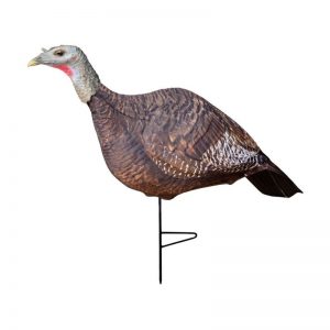 PRIMOS PHOTOFORM HEN DECOY