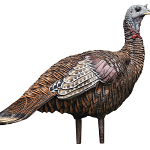 AVIAN-X LOOK OUT HEN