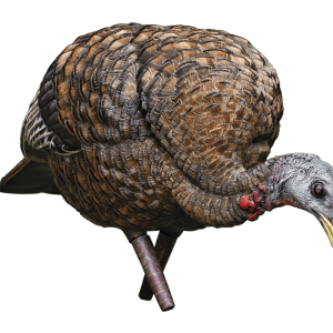 AVIAN-X FEEDER HEN