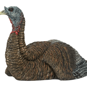 AVIAN-X LAYDOWN HEN