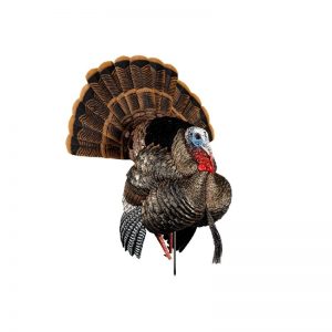 AVIAN-X HDR STRUTTER