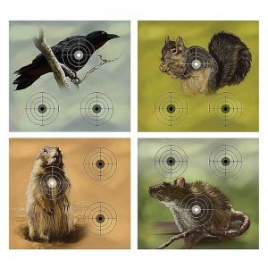 CROSMAN VARMINT TARGET PACK