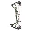 HOYT CABON RX 5
