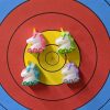 BROOKE TARGET PINS