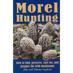 MOREL HUNTING HOW TO FIND PRESERVE PREPARE