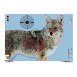 BIRCHWOOD CASEY PREGAME - COYOTE 3pk