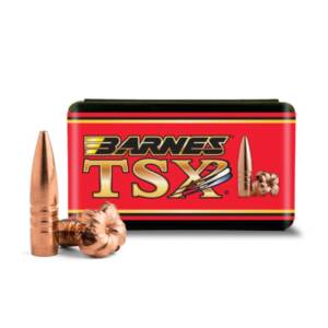 BARNES TSX FB .458 300gr