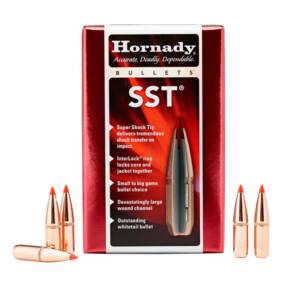 HORNADY .310 123gr SST