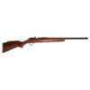 USED COOEY 39 .22LR
