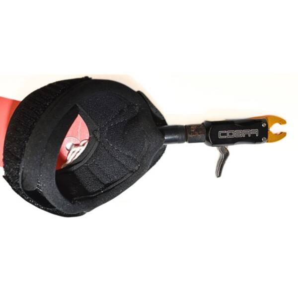 USED-COBRA YOUTH RELEASE