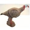 USED RINEHART TOM TURKEY TARGET