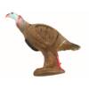 USED RINEHART TOM TURKEY TARGET