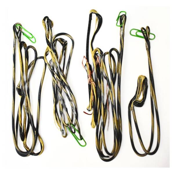WCH-HOYT RX-1 ULTRA #3 SET