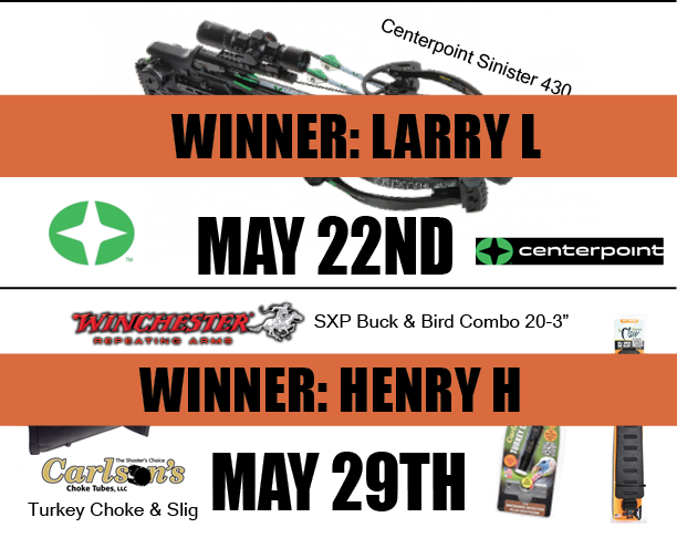 Weekly Prizes