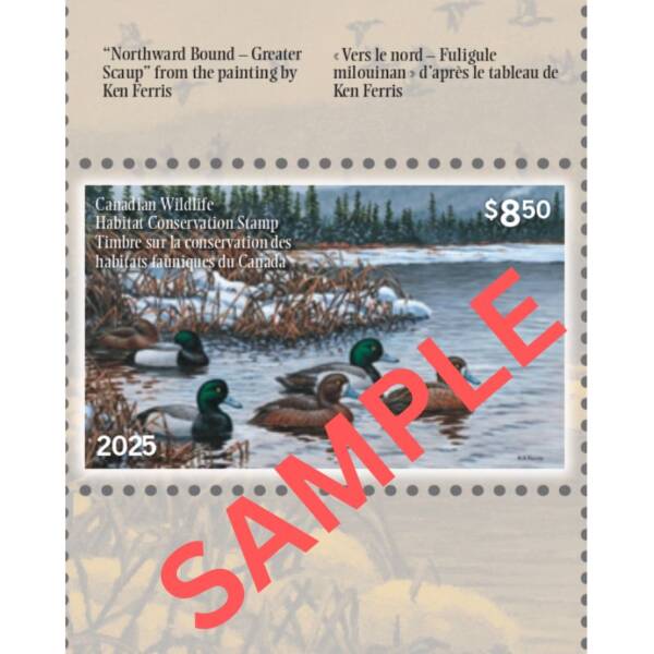 MIGRATORY GAME BIRD HUNTING 2025-2026