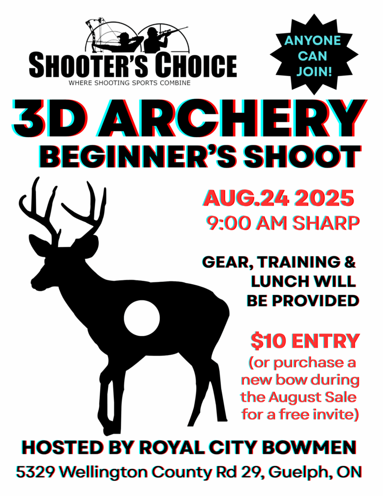 3D Archery (2)