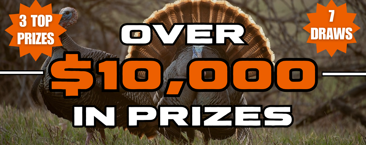 Turkey Competition (7)