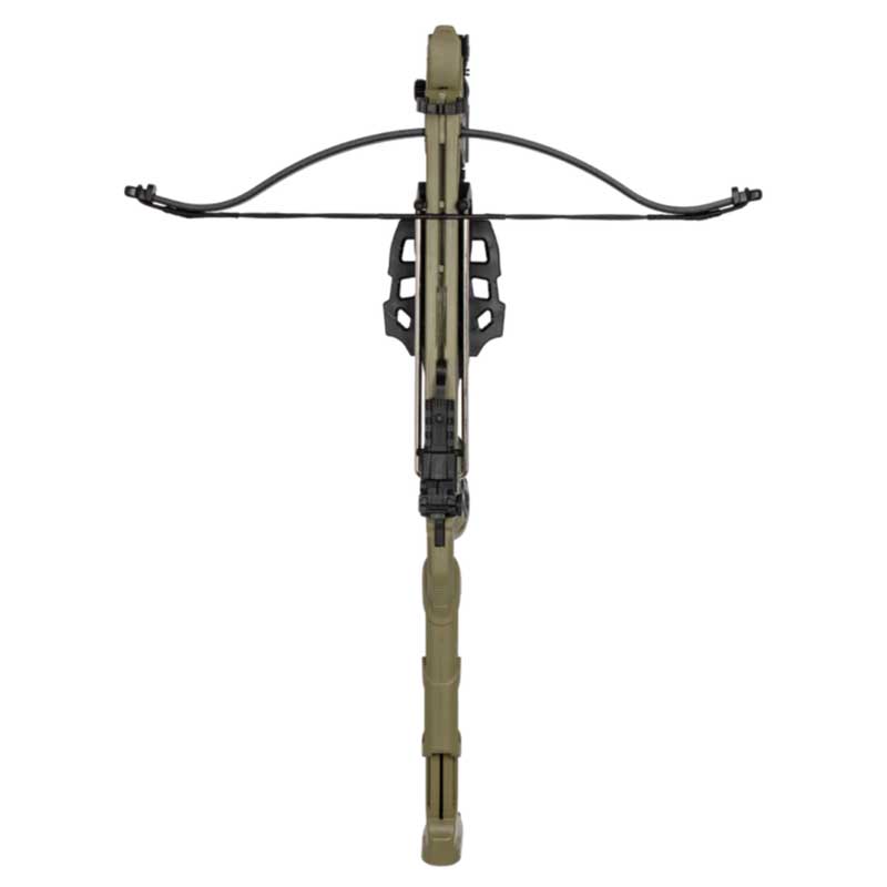 BEAR-DESIRE XLZ GREEN/BLACK